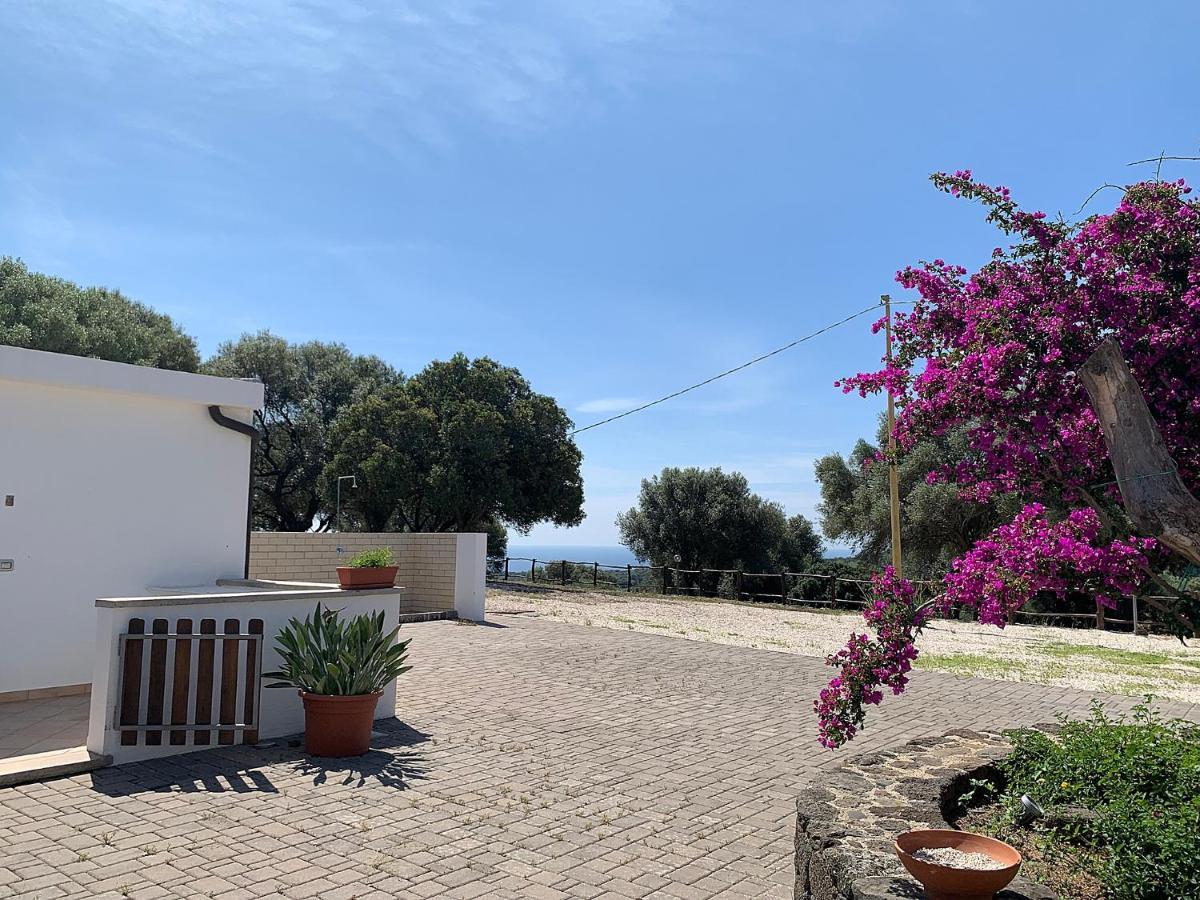 Vistamare Villa Orosei Eksteriør billede
